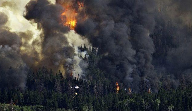 Ilustrační foto, zdroj: zpravy.tiscali.cz