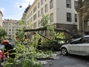 V centru Brna spadl starý strom, zdemoloval luxusní auto