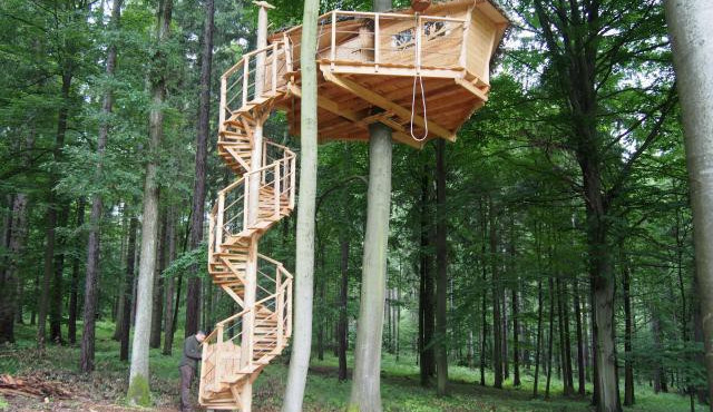 Tree house nabízí relaxaci v koruně stromu