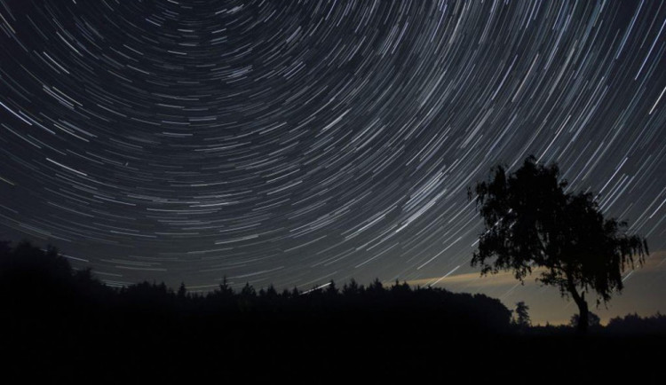 Ilustrační foto, zdroj: naukawpolsce.pap.pl