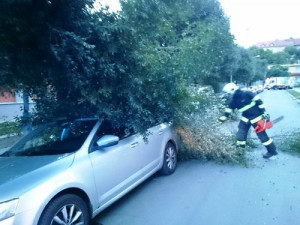 Silný vítr na jižní Moravě lámal stromy a zaměstnal hasiče