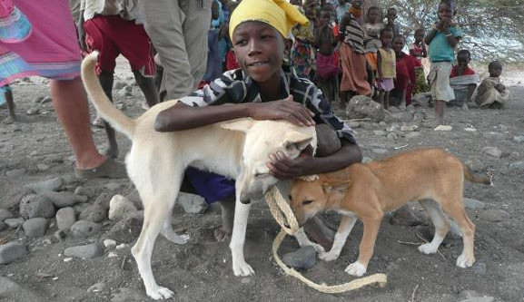 Veterináři upozorní v Brně očkováním psů bezdomovců na boj proti vzteklině v Africe