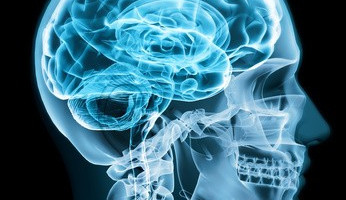 ilustrační foto, roztroušená skleróza, zdroj: www.gate2biotech.cz