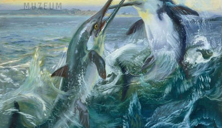 foto: Moravské Zemské Muzeum 