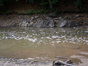 Řeky v povodí Moravy a Dyje obsahují příliš mnoho fosforu
