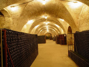 Nejstarší archiv vín v tuzemsku obsahuje 8000 lahví