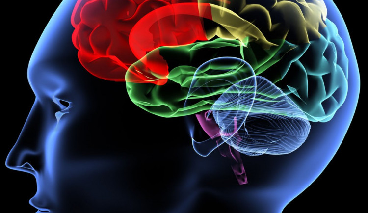 Ilustrační foto, zdroj: www.howtofascinate.com