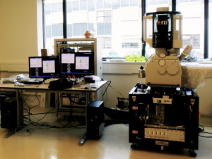 Vědci v CEITECu získali nejmodernější elektronové mikroskopy