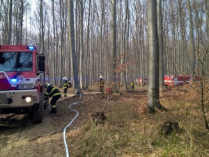 Požár lesa zaměstnal hasiče na celé nedělní odpoledne