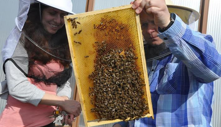 Foto: Jihomoravský kraj