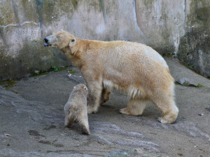 Foto: Tomáš Sláma