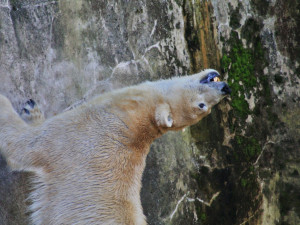 Foto: Tomáš Sláma