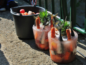 Foto: Tomáš Sláma