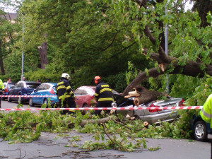 #pípnutodrbně od Jany: Na Lužánecké zdemoloval spadlý strom parkující auto