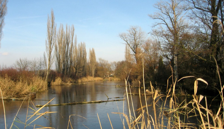 Holásecká jezera, foto: wikimedia.org