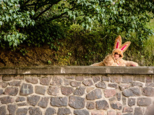 Foto: Marek Kolařík