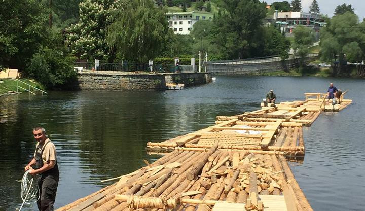 Foto: Facebook Lesy města Brna, a.s.