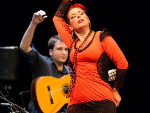 Festival Ibérica opět pod otevřeným nebem: Špilberk rozvášní sevillské Puerto Flamenco a action painting