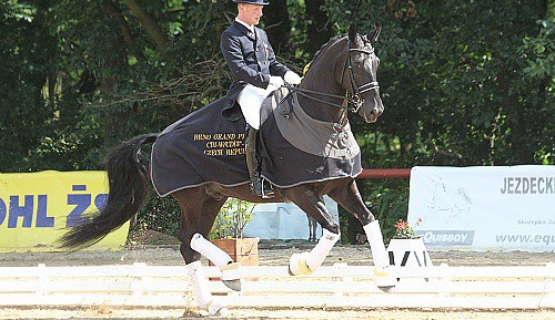 ilustrační foto, zdroj: www.dressageacademy.cz