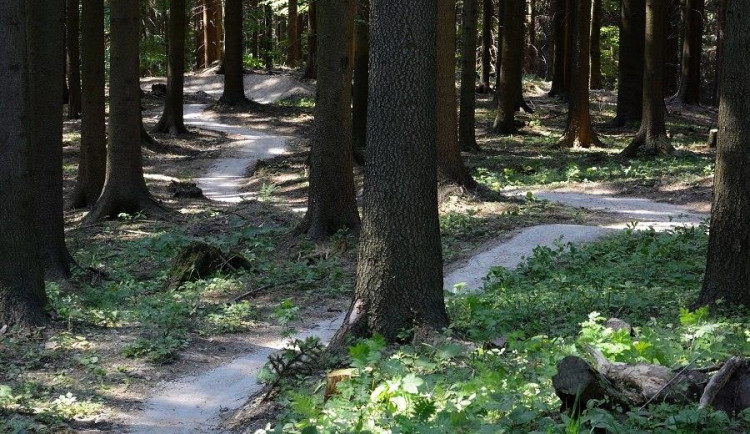 V lesích u Boskovic vzniknou stezky pro cyklisty za 10 mil. Kč