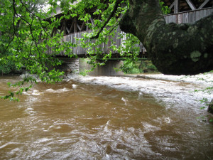 Hladiny moravských řek mohou místy dosáhnout povodňové aktivity
