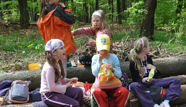 Foto: Lesy města Brna, a.s.