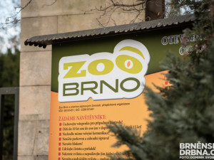 Brněnská zoo nedostala dotaci na projekt Beringie. Město podává trestní oznámení na neznámého pachatele