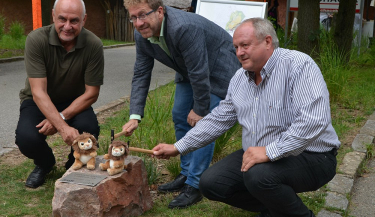 V zoo zahájili stavbu expozice lvů