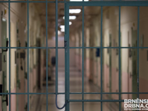 Mladík křivě obvinil ex-partnera své družky ze zneužívání mladých dívek, hrozí mu rok vězení