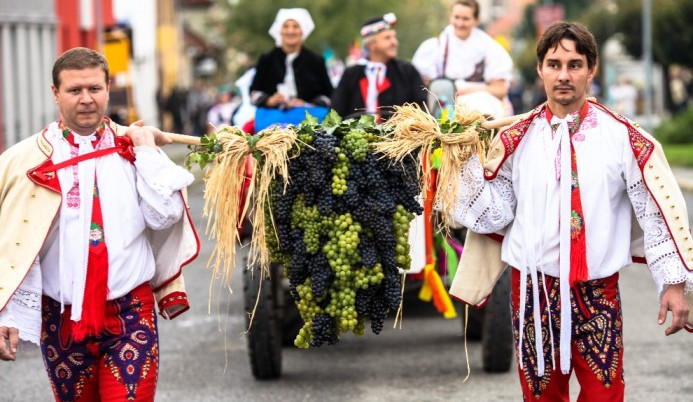 V Mikulově začalo Pálavské vinobraní, soutěží se o nejlepší burčák