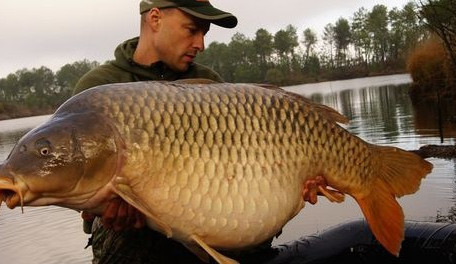 ilustrační foto, zdroj: Srdce Slovácka