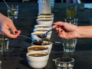 Do festivalu Týden kávy se zapojí 42 brněnských kaváren
