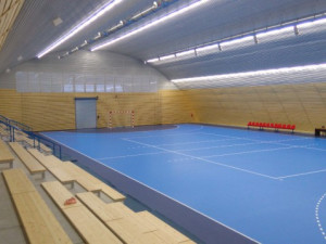 Brno odkoupí sokolský sportovní areál v Maloměřicích