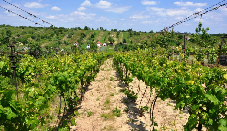 ilustrační foto, zdroj: Bavi.cz