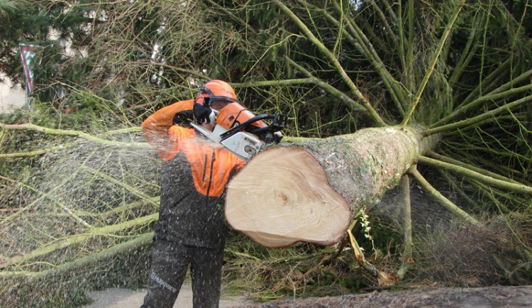 ilustrační foto, zdroj: Dřevokout
