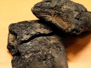 V Brně našli archeologové dva zuhelnatělé bochánky chleba. Jsou staré víc jak 500 let