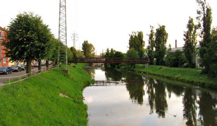 Břeh řeky Svitavy v Husovicích
