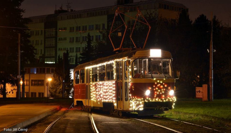 Vánoční šalina, foto: Jiří Černý