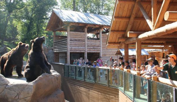 "Beringie" brněnské zoo, zdroj: Česká televize