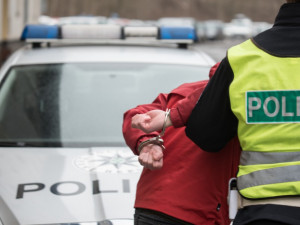 Policisté na Břeclavsku zajistili skupinu migrantů i s převaděčem
