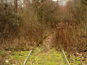 Rada města schválila investici do tramvajové linky Stránská skála - Líšeň