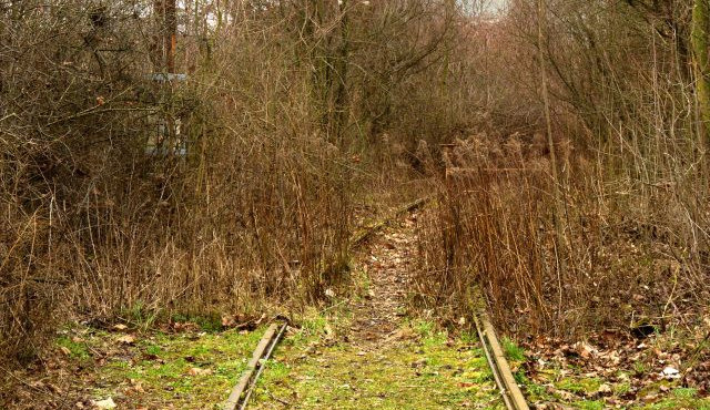 zdroj: Česká televize