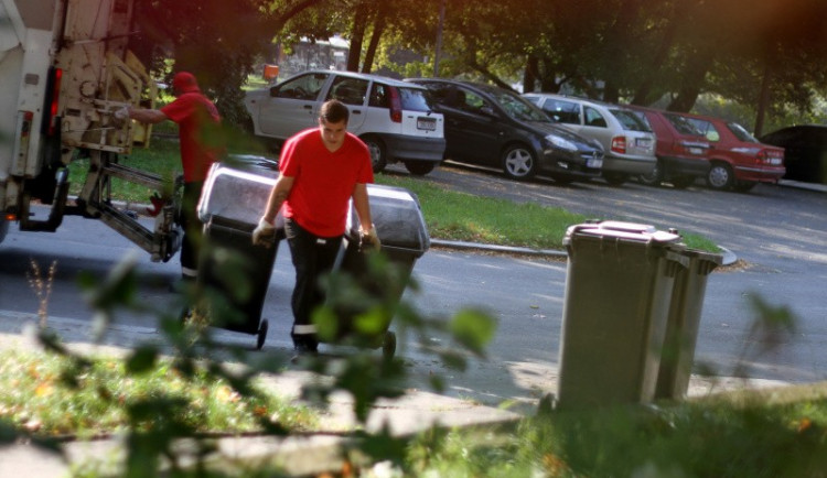 Foto je pouze ilustrační, tito popeláři jsou praví! Zdroj: Srdcerváči.cz