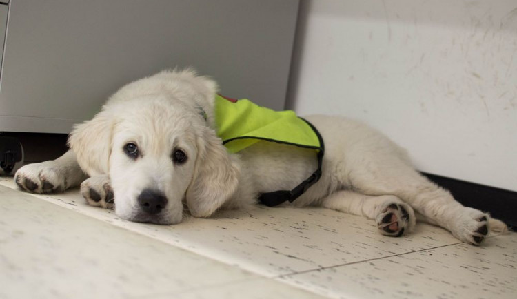 ilustrační foto, Autor: Kristýna Pulišová