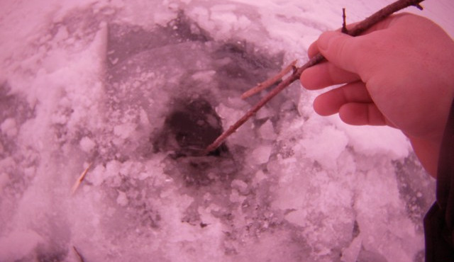 ilustrační foto, Zdroj: MP Brno