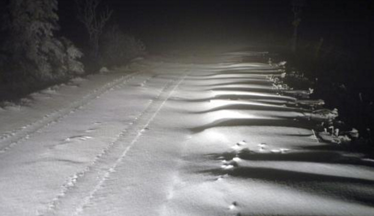 Sněhové jazyky, zdroj: cesbrod.cz