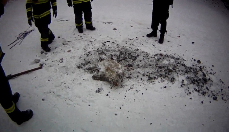 Zbytky kance vysekaného z ledu, zdroj: MP Brno