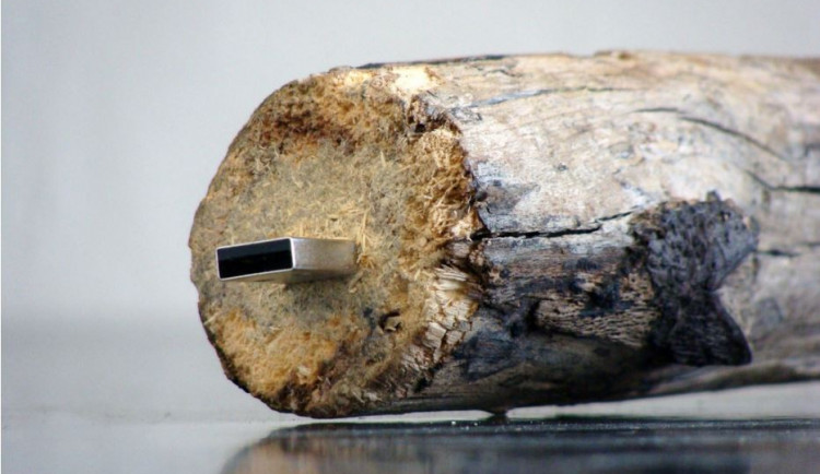 Výstava In a Landscape