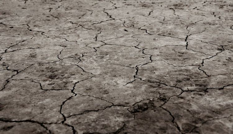 ilustrační foto, zdroj: pixabay.com