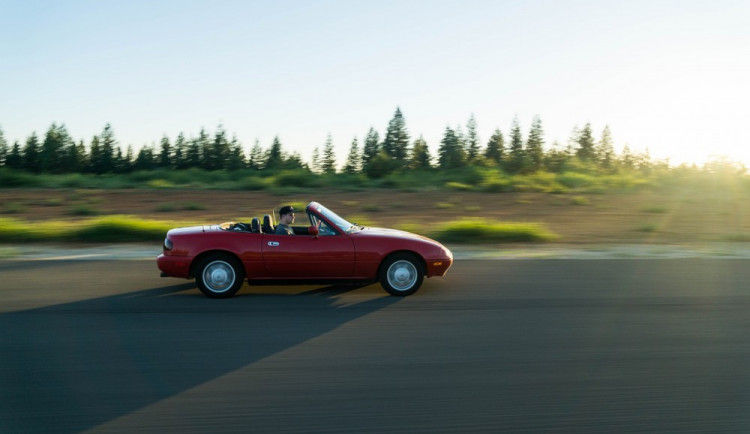 ilustrační foto, zdroj: pixabay.com